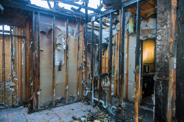 Professional Fire Damage Assessment technician working in Wilson, PA