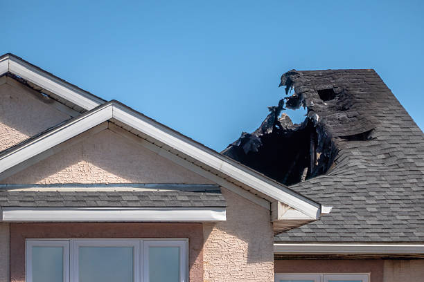 Top rated local Fire Damage Assessment specialists in Wilson, PA